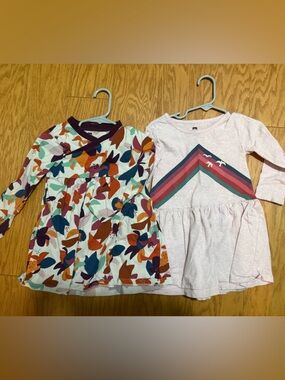 Tea Collection 100% Cotton Dress Bundle -  3T